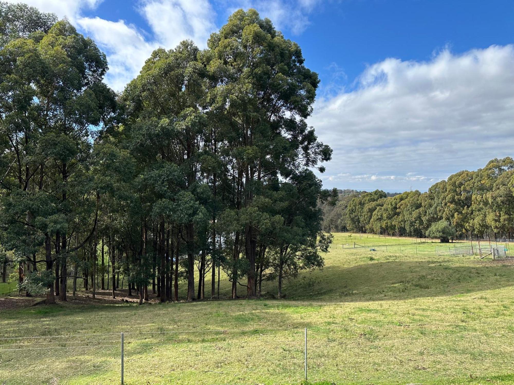 Blueberry Hills On Comleroy Farmstay - Self-Contained Cottages Kurrajong Exterior photo