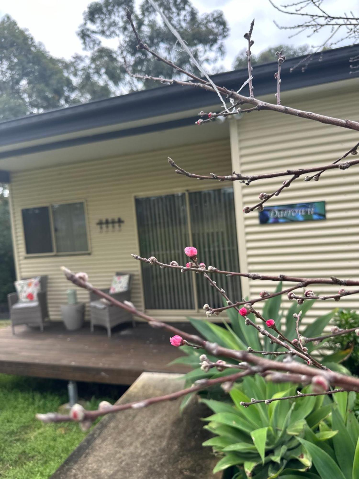 Blueberry Hills On Comleroy Farmstay - Self-Contained Cottages Kurrajong Exterior photo