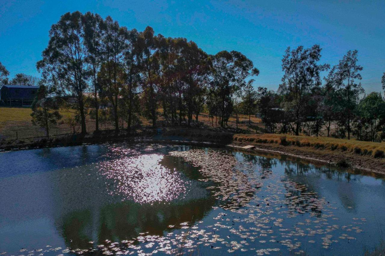 Blueberry Hills On Comleroy Farmstay - Self-Contained Cottages Kurrajong Exterior photo