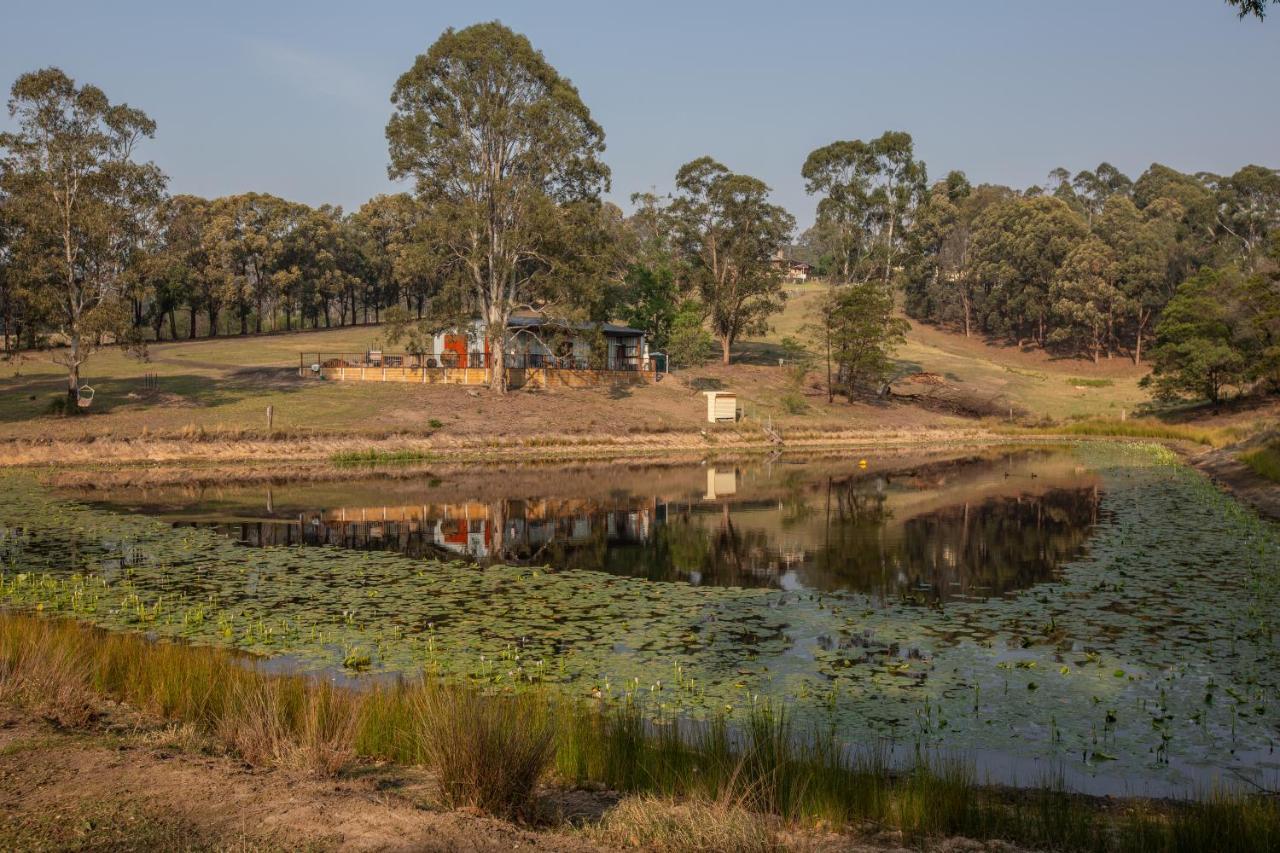 Blueberry Hills On Comleroy Farmstay - Self-Contained Cottages Kurrajong Exterior photo